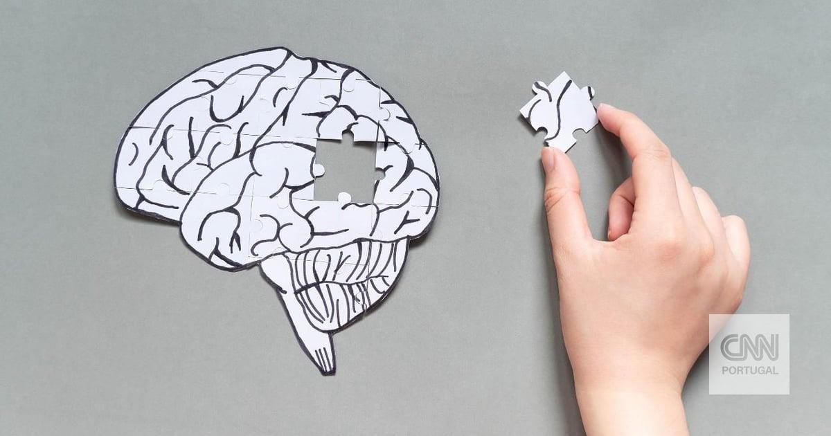 Má ligação entre o sistema digestivo e o cérebro prejudica a memória