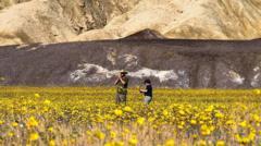 Wildflowers blanket Death Valley in best display since 2016